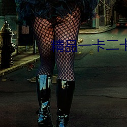 精品(品)一卡二(二)卡三卡