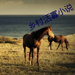 乡村活(huó)寡小说
