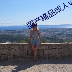 国产(産)精品成人(人)va在线观看(看)