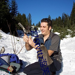 775tvttz泡芙直播 （狗尾续貂��