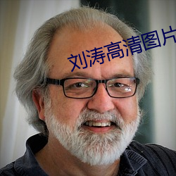 刘涛高清图片 （钟鼎山林）