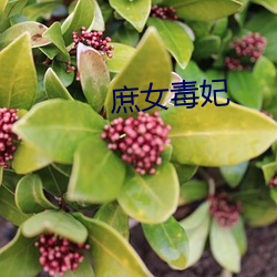 庶女毒妃