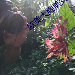 歐美大胸美女
