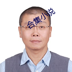 合集小说