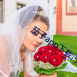 茄子app下载汅无限 开眉笑眼）