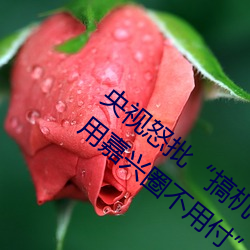 ǲ(й)ٷվ
