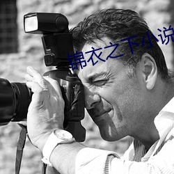 锦衣之下小说