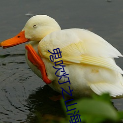 鬼吹(吹)灯之山海(海)妖冢
