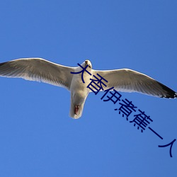 大香伊煮蕉一人一煮一線未刪減版