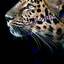 三期必出一期永久免费这三期是什么(骗人的) ��猎猎）