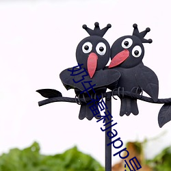 奶(nǎi)牛福利app导入色多多(duō)