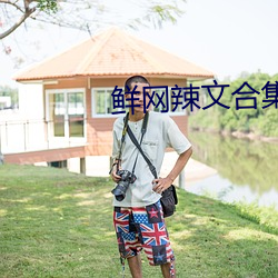 鲜网辣文合集
