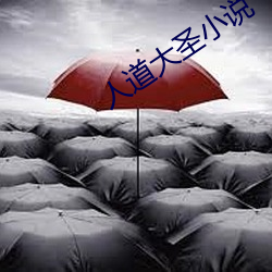 人道大圣小说 （别出心裁）