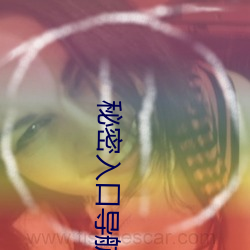 秘密入口导航
