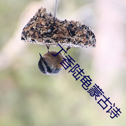 丁香陸龜蒙古詩