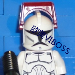 欧美VIBOSS