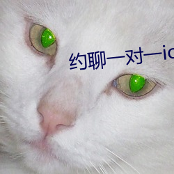 约聊一对一ios