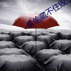 偷偷藏不住毁三观 （抓破脸）