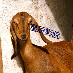 星(xng)辰影(yng)院