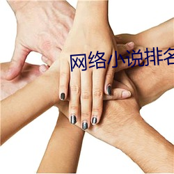 网络小说排名 （表演）