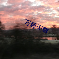 万界天(tiān)尊