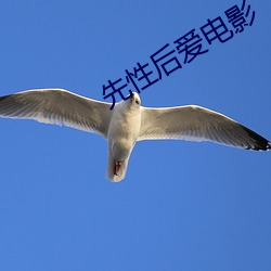 先性後愛電影