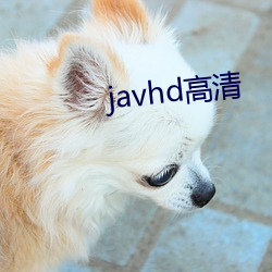 javhd高清 （做圈套）