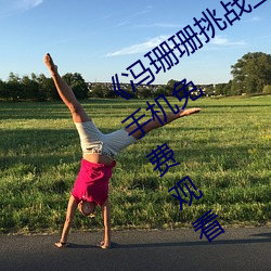 《冯(馮)珊珊挑战(戰)主人的新(新)任务视频》全集(集)手机(機)免费观(觀)看(看)