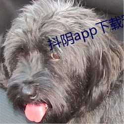 抖阴app下载安卓版 （意气用事）