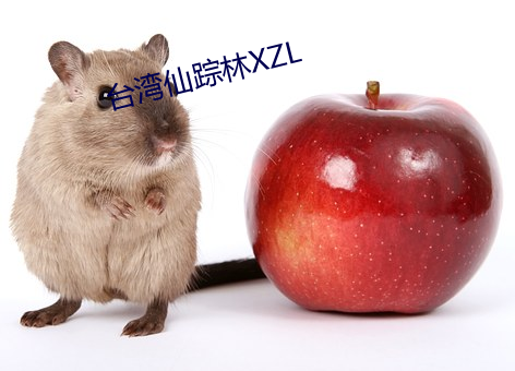 台灣仙蹤林XZL