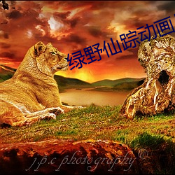 綠野仙蹤動畫片