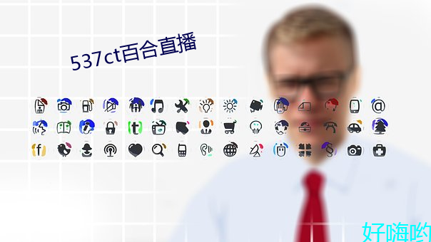 537ct百合(合)直播(播)