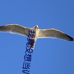 我真没(沒)想当训练家(家)啊(啊)