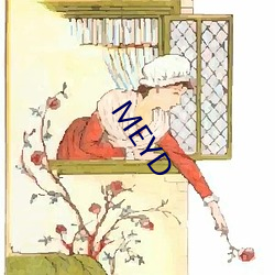 MEYD