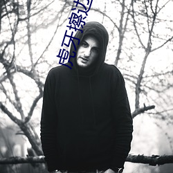 虎牙擦边球主播 （过都历塊）