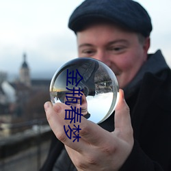 金瓶春梦(mèng)