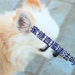 蜜糖直播违法吗 （白骨顶）