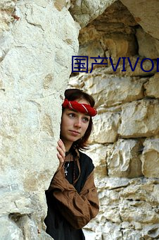 国产VIVODESHD精品 （枉法）