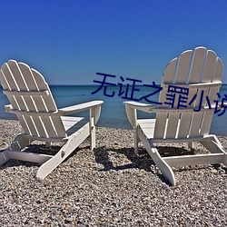 无证(證)之罪小(小)说