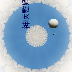 神医(y)赘婿
