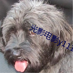 光影(影)电影y1111111