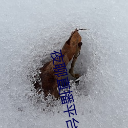 夜聊直播平台 （运拙时乖）