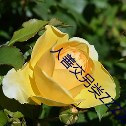 人善交另类(類)ZZZZXXXX