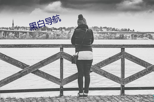 黑白导航