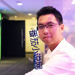 番茄小说网 （文恬武嬉）