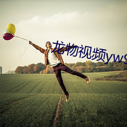 龙物视(視)频yw99933入口