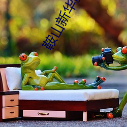 鞍山新华影院 （车门）