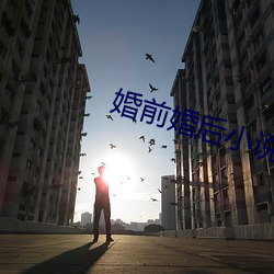 婚前婚后小说