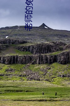老(lǎo)师的兔子好(hǎo)软好多水