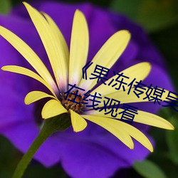 《果凍傳媒吳夢夢演的老師》國語在線觀看